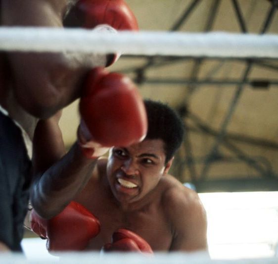 When a Fermanagh man beat Muhammad Ali in his back garden