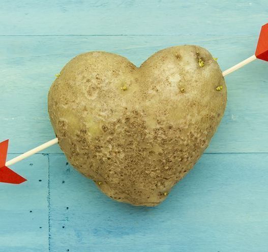 Did you know the Irish have 90 words to describe potatoes?