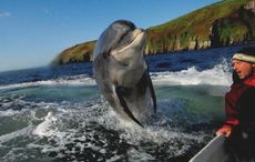 Fungie the dolphin is officially in the Guinness Book of World Records!
