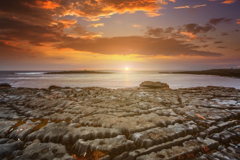 When a 325 million-year-old fossil was discovered in Co Clare