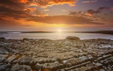 325 million-year-old fossil was discovered in County Clare