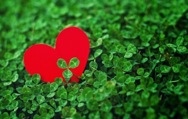 40 Best Irish Dating Sites & Dating Apps 2020 By Popularity