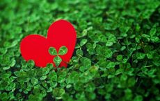 These are the best Irish cities to visit if you’re single