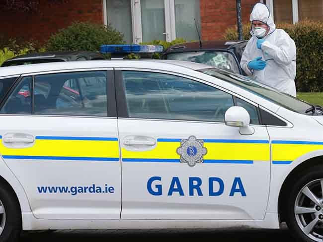 11-year-old boy stabbed to death in Limerick home