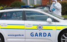 11-year-old boy stabbed to death in Limerick home