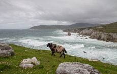 Achill Island caught in the international migrant stream