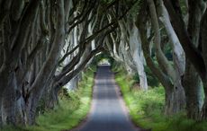 Prequel's cancellation won't dampen "Game of Thrones" legacy in Northern Ireland