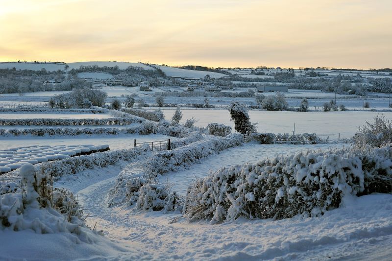 White Christmas? Famous Donegal postman says it's a "strong possibility"