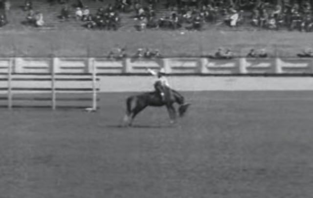 The Tex Austin Rodeo in action, at Croke Park in Dublin, 1924.