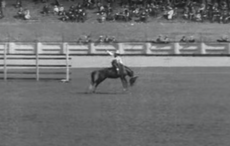When the rodeo came to Dublin's Croke Park in 1924