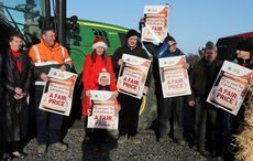 Irish beef farmers feeling the pinch