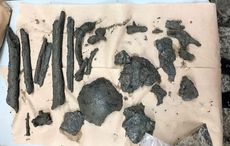 WATCH: Irish Canadians react to discovery of Famine-era bone fragments in Montreal