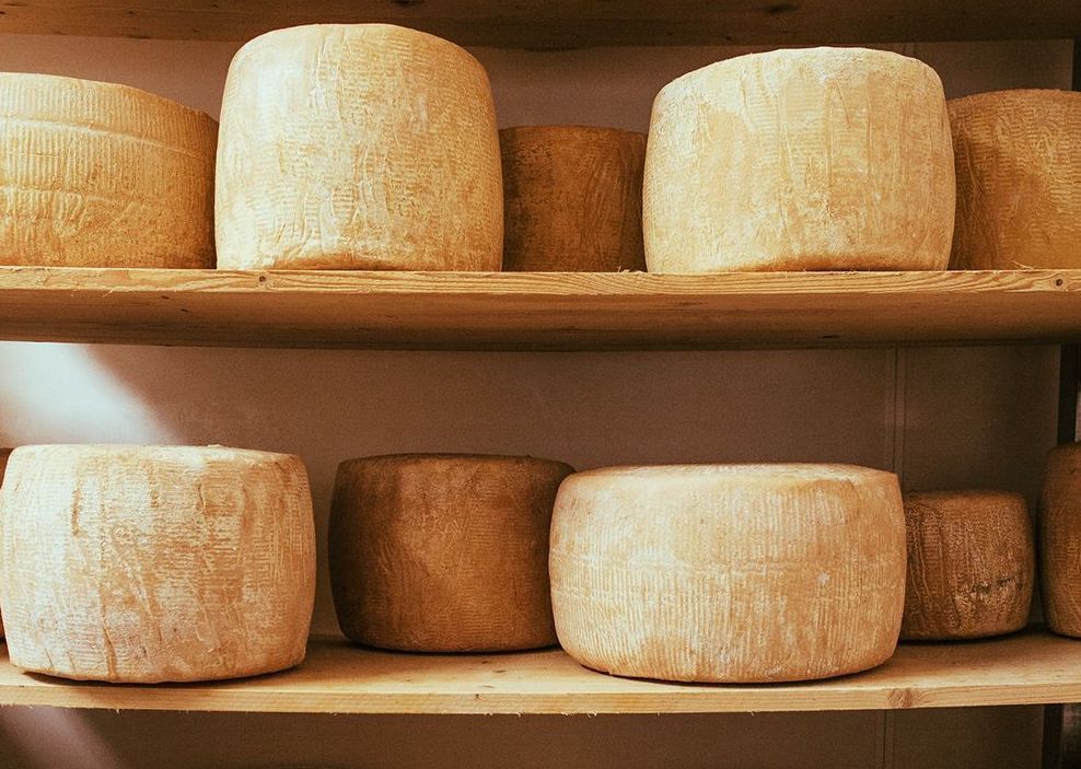 The journey of Ireland's cheese from farm to cheesemaker