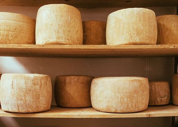 Cheese, glorious cheese! An Irish expert talk about the process of how Ireland\'s cheese is made.