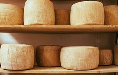 The journey of Ireland's cheese from farm to cheesemaker