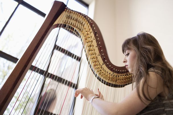  Irish harp music recognized by UNESCO as unique art form.