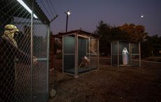 Spare a thought for all the migrants on the US border this New Year