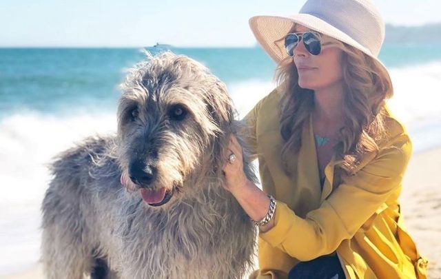 Roma Downey says her Irish wolfhound brings her \"so much joy and comfort.\"