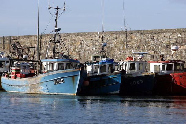 Fishing trawlers at Kilmore, County Wexford.