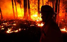 Three American firefighters killed tackling bushfires in Australia 