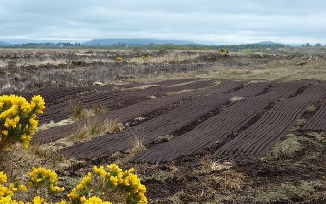 An Irish bog in Mayo