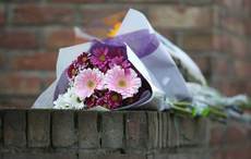 Horrific murder of three young children in Dublin