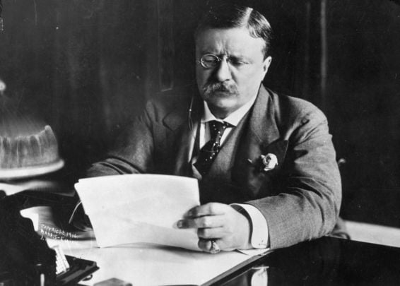 Theodore Roosevelt: The 26th president of the United States was critical of Irish immigrants
