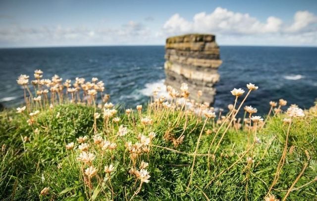 Springtime is the perfect time to reflect on the wonders of the Irish language