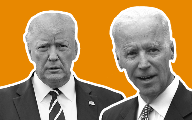 Donald Trump, Joe Biden, or someone else - who are you supporting?
