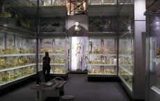 English author calls for "Irish Giant" Charles Byrne to be laid to rest