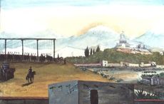 When 265 Irish service members defected from the US to Mexico