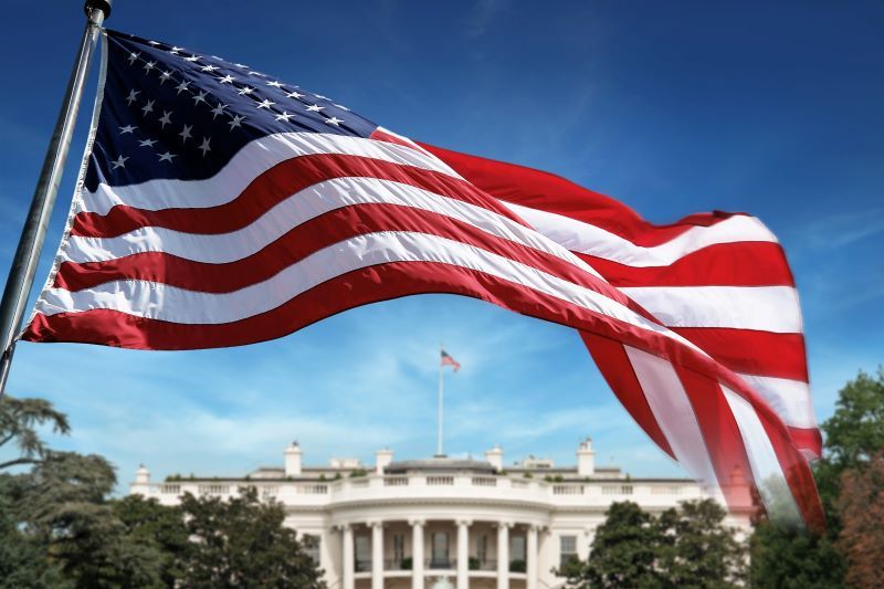 The US 2020 election: what a wild ride