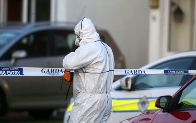 Gardaí investigate the murder of Seema Banu and her two children in Ballinteer. 