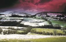 Singing more Irish EcoSongs ahead of Christmas
