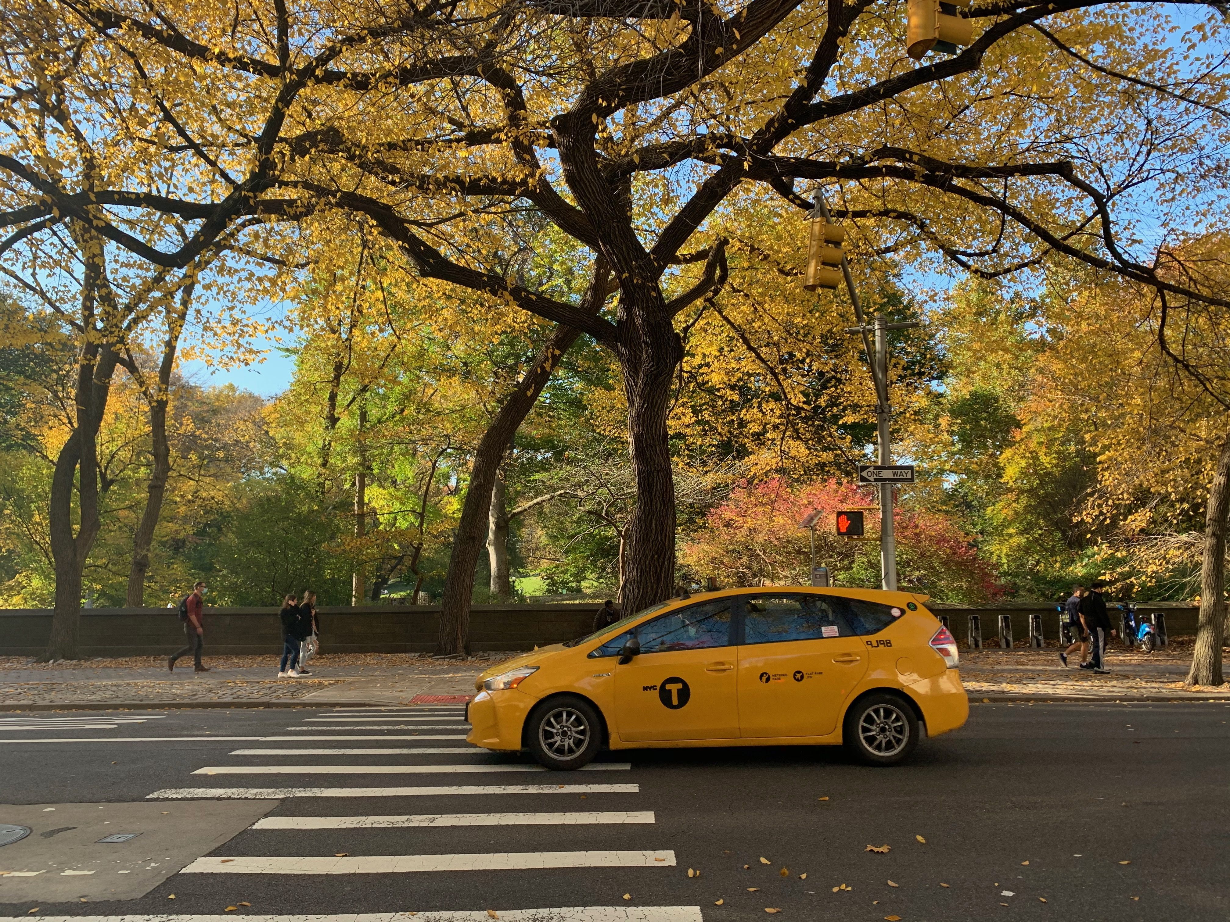 On the day Joe Biden became President-elect in New York City