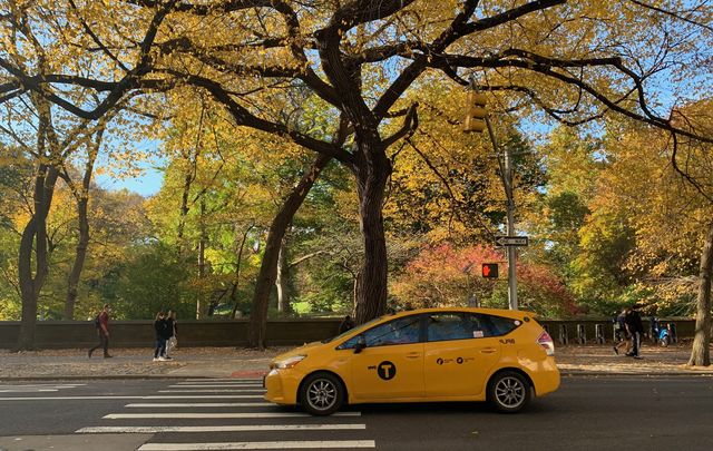 A yellow taxi in front of New York City\'s Central Park.