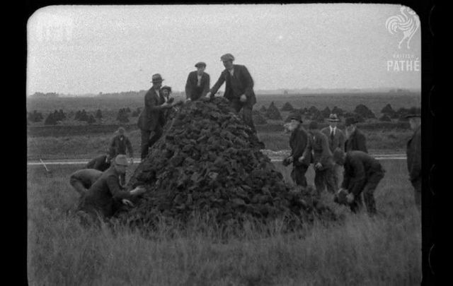 Scenes of an Irish community gathering peat a century ago.