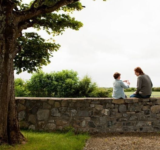 Ireland's surnames and their origins explained in online dictionary