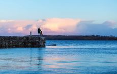 This 19th century poem will remind you why you're proud to be Irish