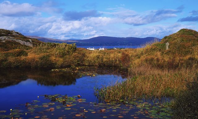 Dunmanus Bay, on the Mizen Head Peninsula, in County Cork.