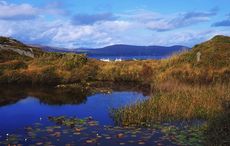 Irish county named among best European spots for Americans to live