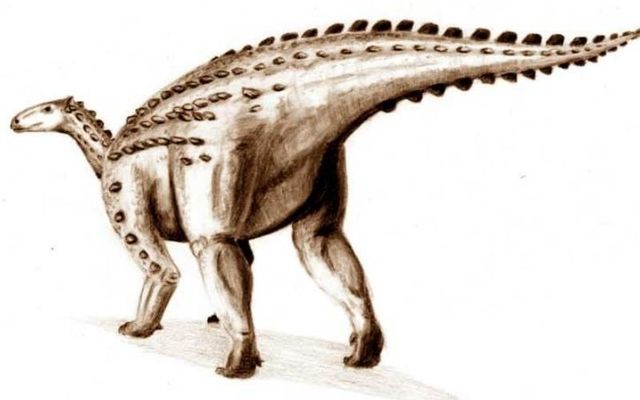 One of the bones could have belonged to a scelidosaurus, a herbivore that roamed the earth over 190 million years ago. 