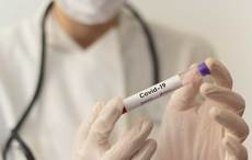 Irish CEO of Qantas says vaccination will be a “necessity” for international air travel