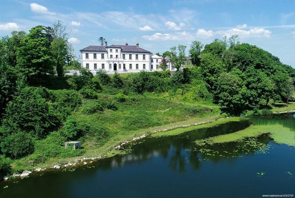 A view from the lake: Eden Vale, Ennis, Clare.