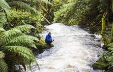 Ireland's top ten hikes for Take a Hike Day