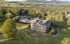 One of Ireland's biggest country houses is for sale for less than €1 million