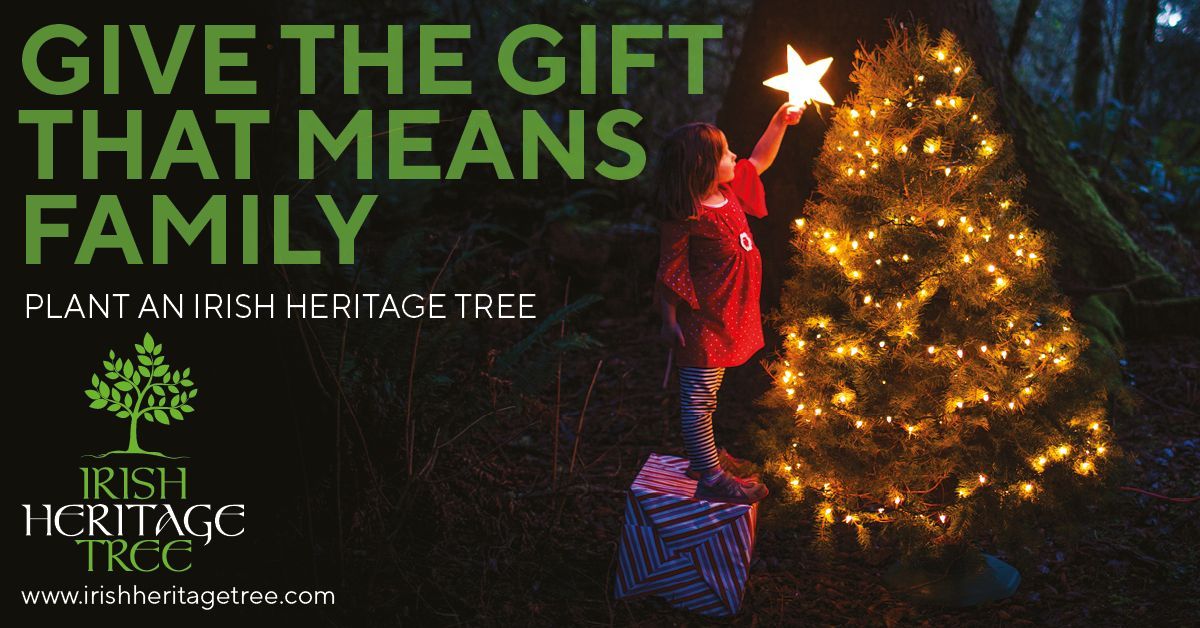 Celebrate Christmas with an Irish Heritage Tree