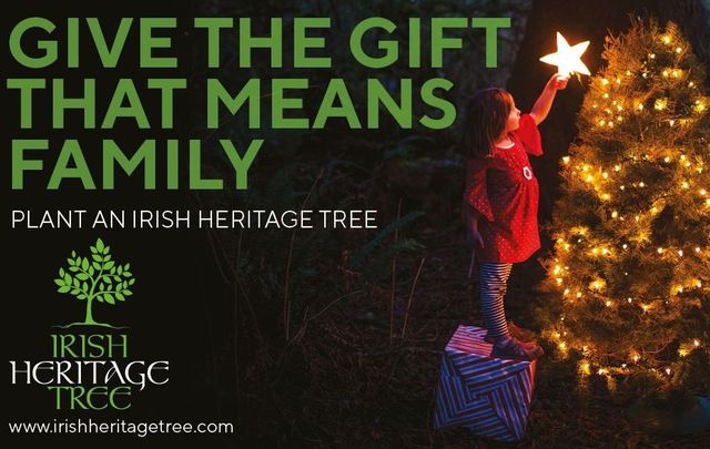 Celebrate your Irish connection with the Irish Heritage Tree.