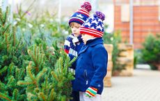 This Christmas as you decorate your tree consider planting your Irish roots in Ireland