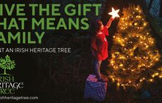This Christmas as you decorate your tree consider planting your Irish roots in Ireland